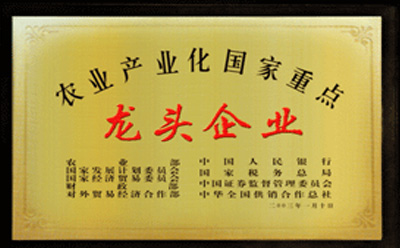 證書(shū)二